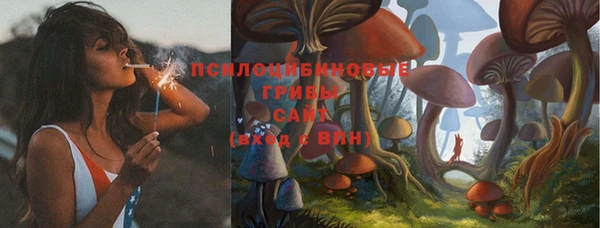 spice Пересвет