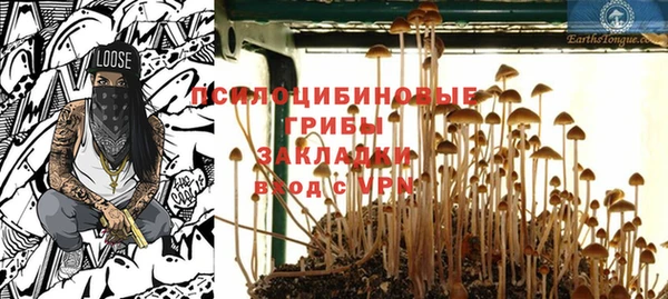 амф Переславль-Залесский