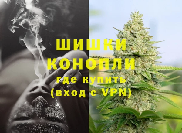 метадон Богданович