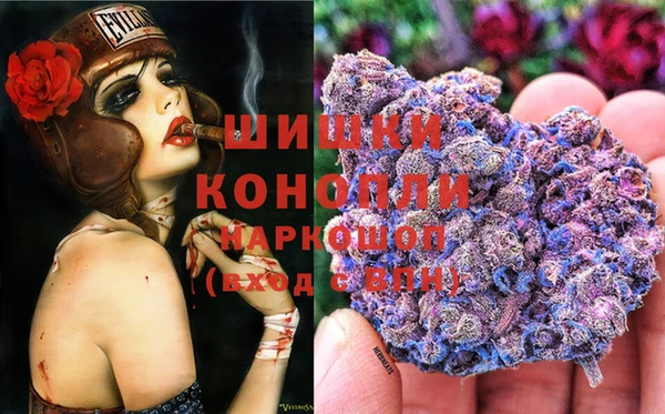 крисы Богородск