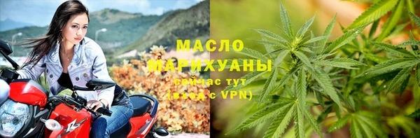 крисы Богородск