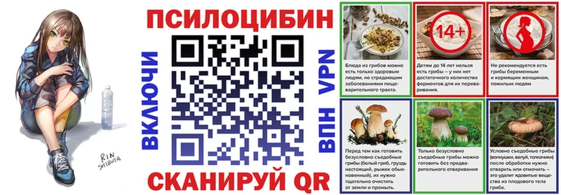 Галлюциногенные грибы Psilocybine cubensis  дарнет шоп  Венёв 